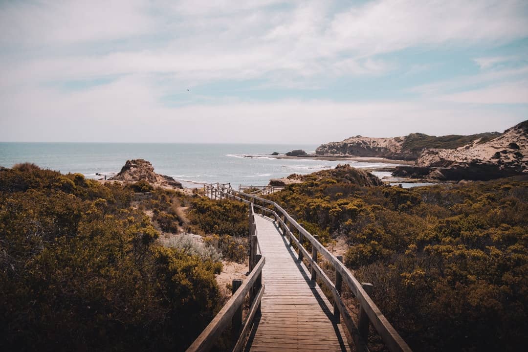 A bridge over a body of water